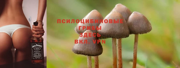 крисы Абаза