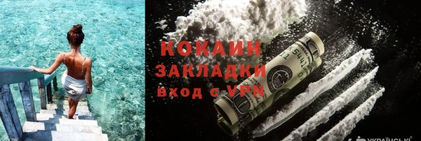 крисы Абаза