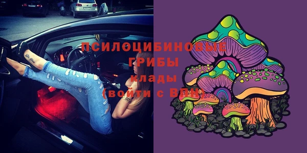 шишки Абдулино